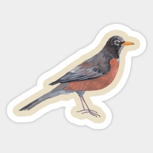 Robin Sticker